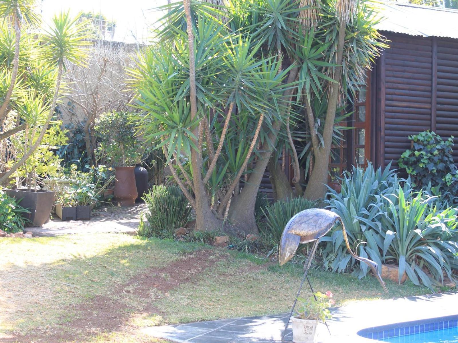 Wild Tree Lodge Benoni Kültér fotó