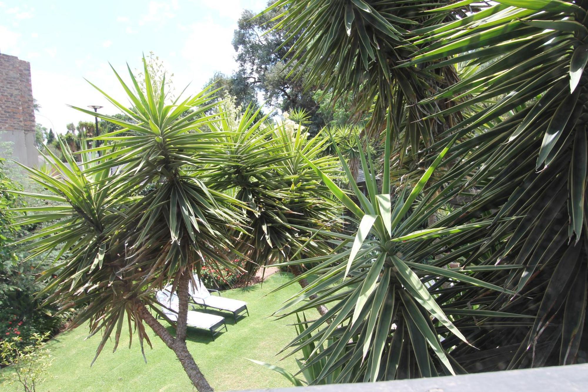 Wild Tree Lodge Benoni Kültér fotó