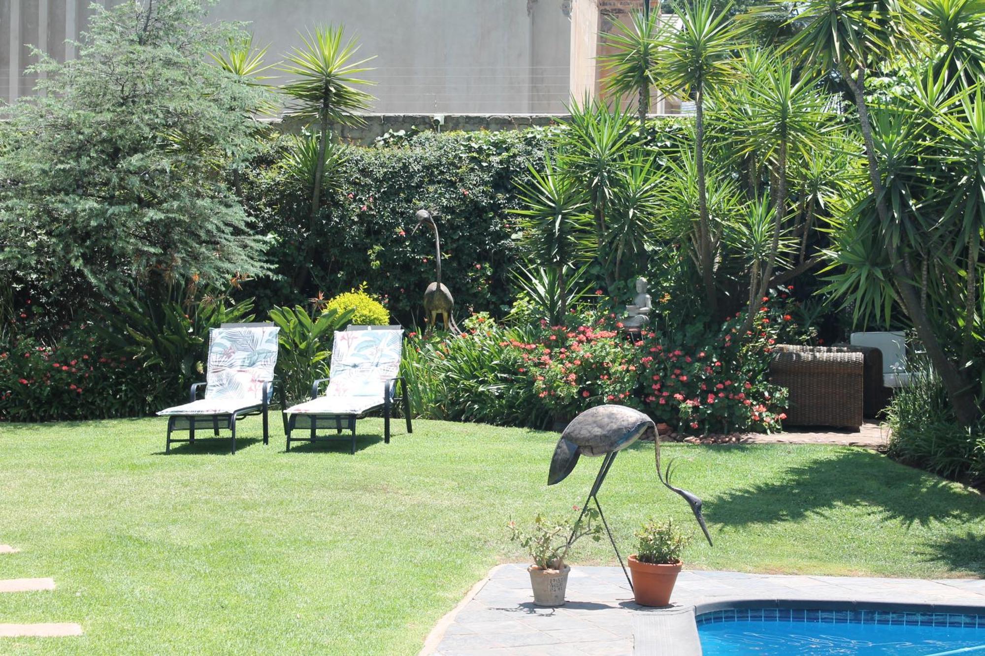Wild Tree Lodge Benoni Kültér fotó